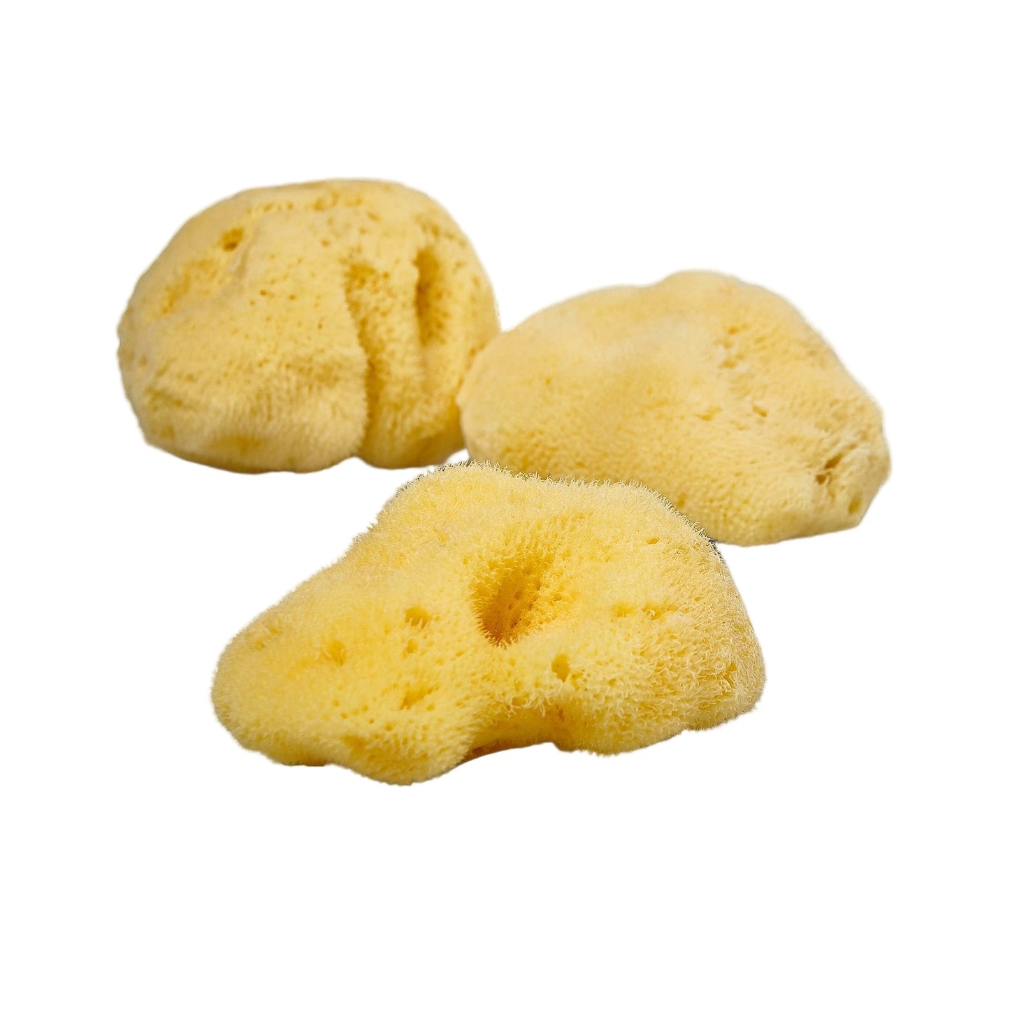 Natural Sea Sponge Medium