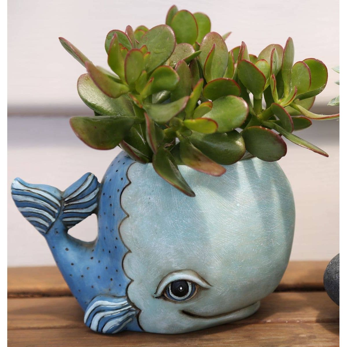Whale Planter