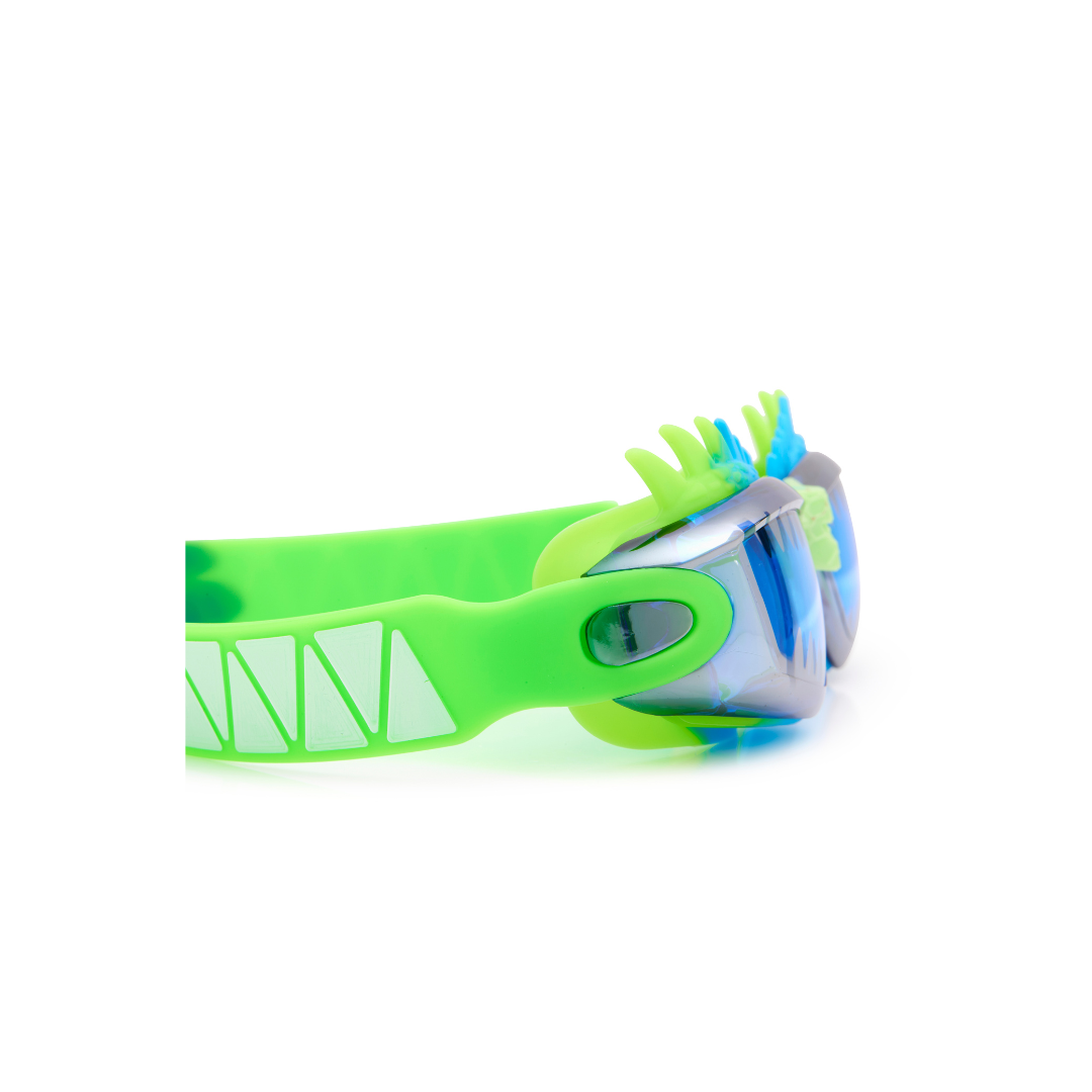 Sea Dragon Draco Swim Goggles