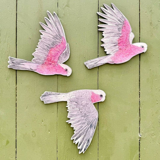 Australian Aviary ~ Wall Decorations ~ Galahs (set of 3)