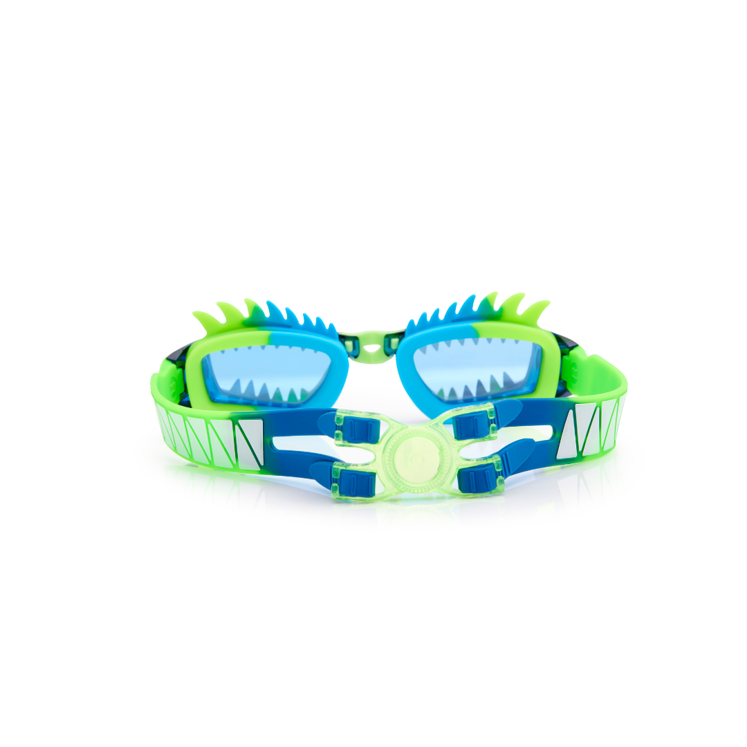 Sea Dragon Draco Swim Goggles