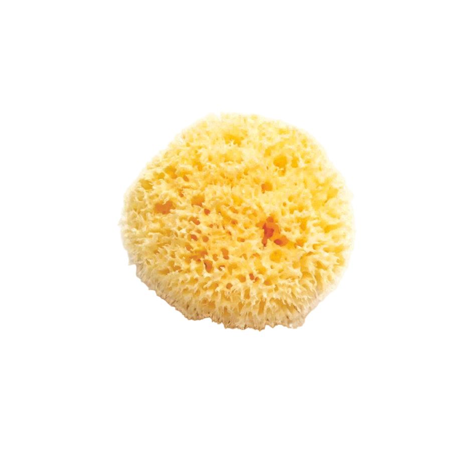 Natural Sea Sponge Medium