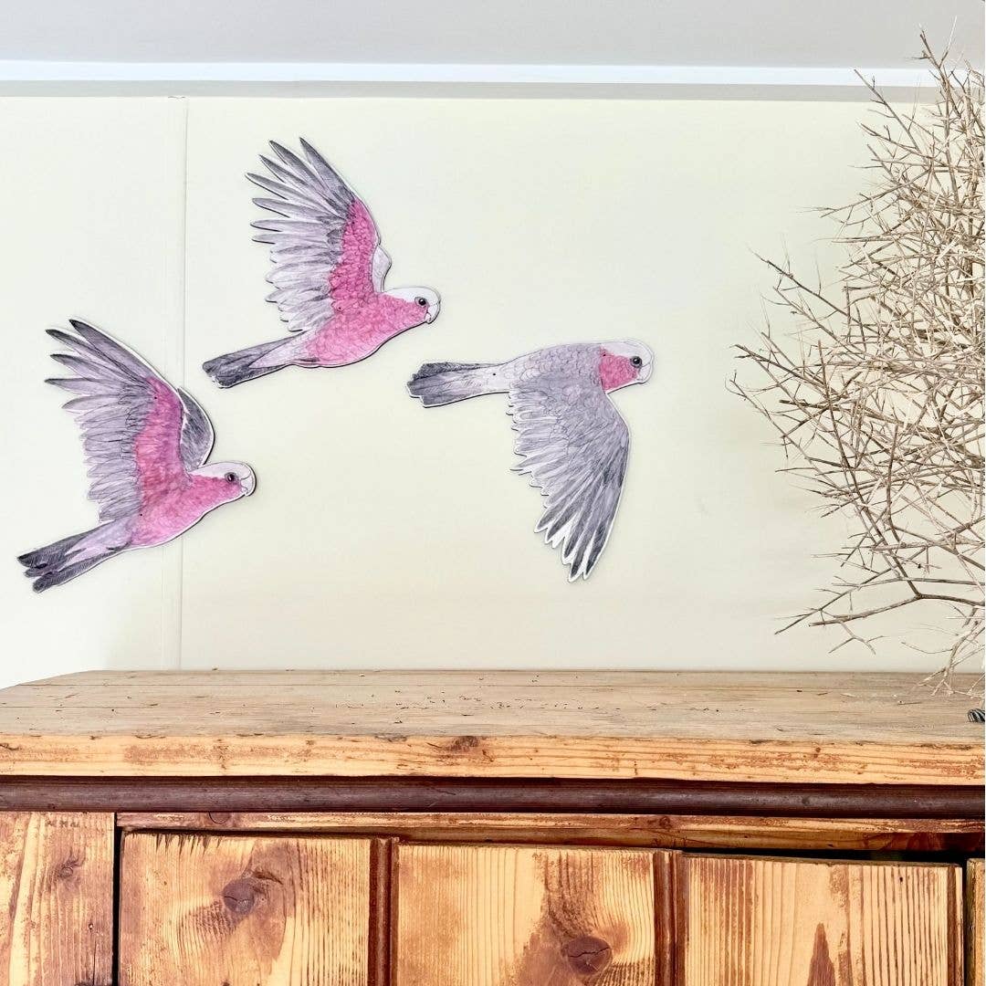 Australian Aviary ~ Wall Decorations ~ Galahs (set of 3)
